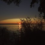 כיצד נהפוך את הערב עובדים למדהים ומלהיב כיצד נהפוך את הערב עובדים למדהים ומלהיב